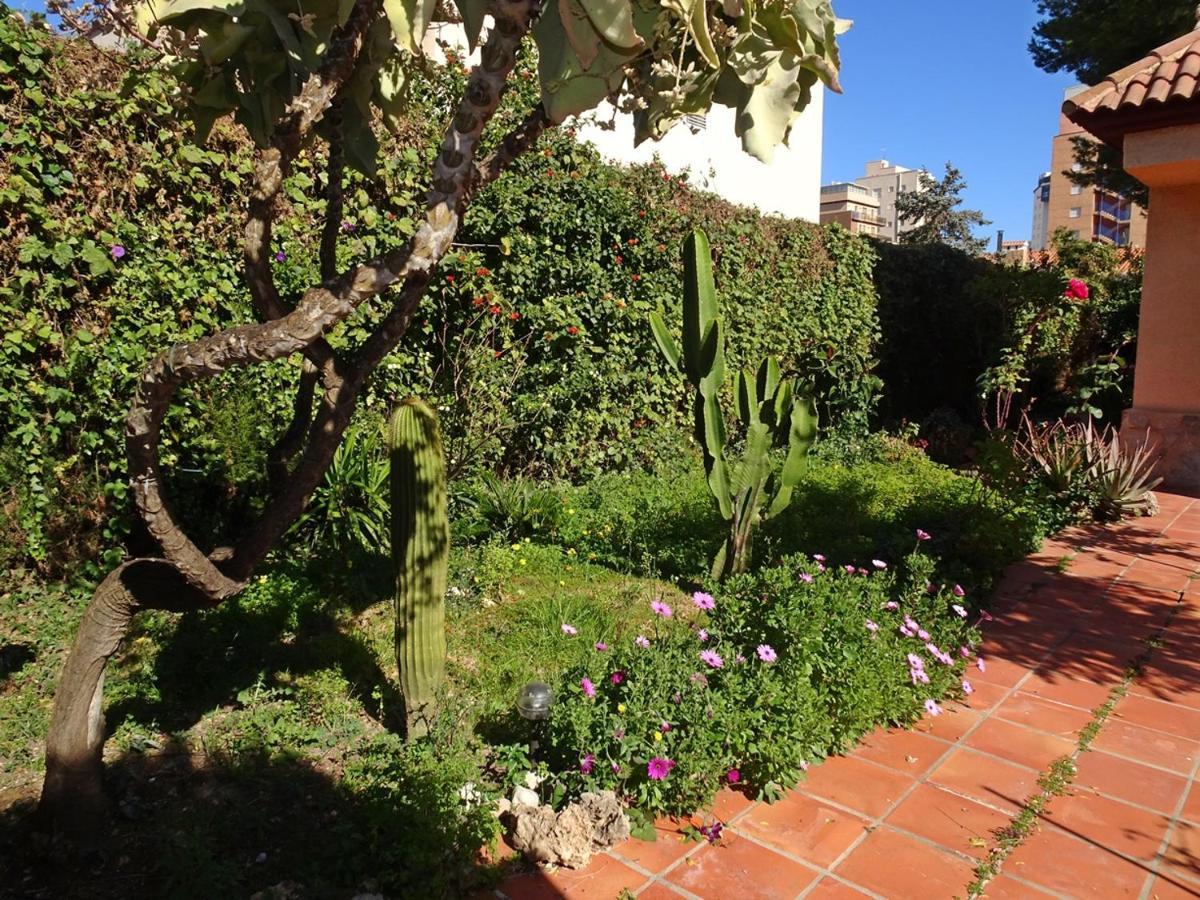 Villa Del Duque, Gandia - Playa de Gandia ภายนอก รูปภาพ